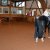 Impressionen aus dem Training » Impressionen aus dem Training